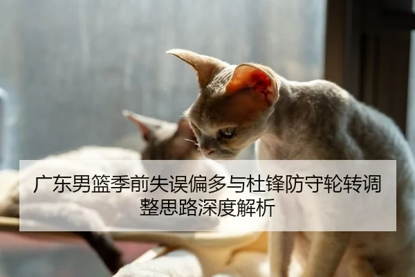 广东男篮季前失误偏多与杜锋防守轮转调整思路深度解析